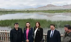 Nallıhan Kuş Cenneti'nde 8. Foto Safari Başladı: 'Tetiğe Değil, Deklanşöre Bas'
