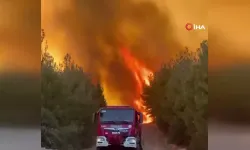 İzmir Aliağa'daki Yangın Kontrol Altına Alındı: 175 Ev Boşaltıldı, 550 Kişi Tahliye Edildi