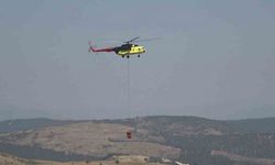 Balıkesir’de korkutan orman yangını