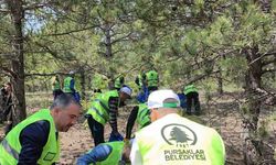 Pursaklar'da Dünya Çevre Günü’ne özel duyarlılık etkinliği