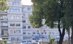 Yavru kargayı kurtarmak isteyen adam diğer karganın saldırısıyla hastanelik oldu!