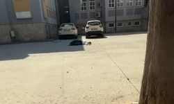 YKS'de trajik anlar: Yanlış belgeyle salona giren öğrenci sınava alınmadı baygınlık geçirdi