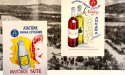 Çankaya’da Sanat Rüzgârı: Ziyaretçilere İlham Veren Ücretsiz Sergiler Başladı
