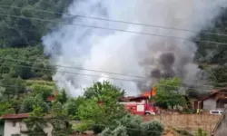 Ankara Nallıhan'da iki evde yangın çıktı