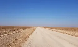 Beypazarı’nda koyun tartışması kanlı bitti: 1 kişi hayatını kaybetti, 6 yaralı!