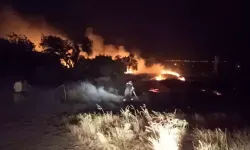 Burdur'da Gece Yarısı Anız Yangını: 30 Dönüm Arazi Kül Oldu