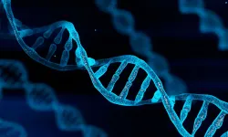 15 milyon kişinin DNA verisi satışta! 305 milyon dolarlık açık artırma başladı