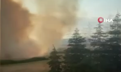 Polatlı’da hobi bahçesindeki yangın arpa tarlasını kül etti
