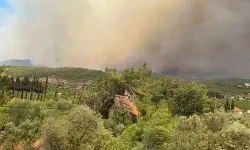 Menderes’te Orman Alarmı: 18 Uçak ve 10 Helikopterle Yangına Müdahale Sürüyor