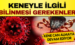 Kene Isırığı Nasıl Olur? Zehirli Kene Belirtileri Nelerdir?