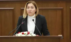 KKTC'li vekil Yasemin Öztürk'ten uyarı: "İsrail’den Güney Kıbrıs’a yoğun göç başladı"