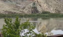 Nallıhan Kuş Cenneti'nde Foto Safari Heyecanı Başladı