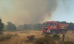 Çanakkale Biga'da Tarla Yangını Ormana Sıçradı: 42 Dekar Alan Zarar Gördü