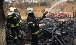 Ankara Kızılcahamam'da yangın faciası: 5 ev kül oldu