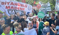 Ankara’da Ekoloji Nöbeti: Zeytinlikler İçin Meclis Önünde Buluştular