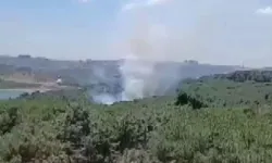 Türkiye'nin dört bir yanında yangın alarmı: İstanbul'da da yangın çıktı!