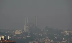 Bulgaristan-Türkiye Sınırında Dev Yangın: 15 Bin Dekar Alan Kül Oldu