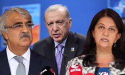 Tarihi Görüşme Yarın: DEM Parti Heyeti Erdoğan’la Saray’da Buluşacak
