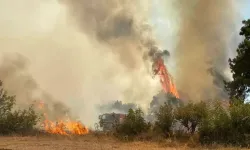 Çanakkale Ezine’de Orman Yangını: Havadan ve Karadan Müdahale Sürüyor
