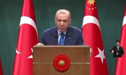 Cumhurbaşkanı duyurdu: Yangınlardan sonra AFAD'a yeni görev geldi!