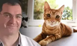 Sakarya’daki ölümün nedeni ortaya çıktı: Sebebi meğerse kedi tüyü değil buymuş!
