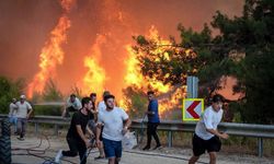 Bursa’da orman yangını büyüyor! Gürsu ve Kestel'de durum vahim