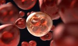 4 Şubat Dünya Kanser Günü’nde Ankara’da Kritik Sempozyum!