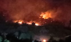 İzmir’de orman yangını! Çanakkale yolu ulaşıma kapatıldı