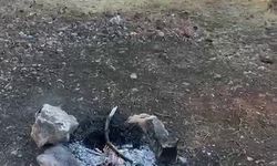 Adıyaman’da Ormanlık Alanda Bırakılan Ateş Facianın Eşiğinden Döndürdü