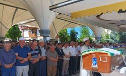 Ankara'da ters yöne giren sürücü köpeğe çarpmamak isterken faciaya yol açtı