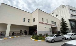 Bolu’da İlk Kene Ölümü: 77 Yaşındaki Şerife Halıcı Hayatını Kaybetti
