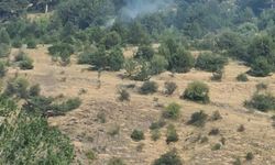 Bolu’da yıldırım kaynaklı çıkan yangınlar söndürüldü