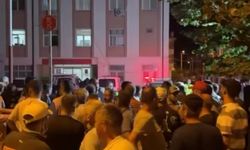 Bursa Harmancık’taki Yangında Gözaltı: Yangınla Bağlantısı Araştırılıyor
