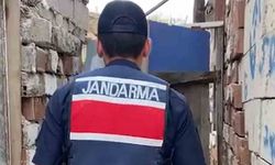 Kırıkkale’de jandarmadan uyuşturucu operasyonu! Bin 53 kök kenevir ele geçirildi