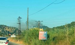 Muğla Ortaca'da orman yangını: Havadan ve karadan müdahale sürüyor