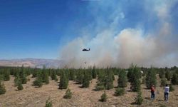 ODTÜ Ormanı’ndaki yangının tahribatı havadan görüntülendi