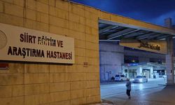 Siirt'te 12 Yaşındaki Nergis'e Minibüs Çarptı! Durumu Ağır
