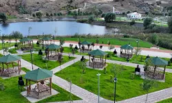 Ankara'da mangal yasağı gelen piknik alanları belli oldu! İşte tam liste