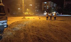 Ankara’da kümeste yangın: 41 tavuk telef oldu