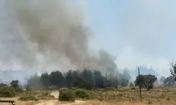BUCA İZMİR YANGIN SON DAKİKA: Yangın Kontrol Altına Alındı Mı? İzmir Buca Orman Yangını Söndüldü Mü? Son Durum..