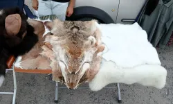 Sinsin Ateşinin yakıldığı Çamlıdere’de rengârenk stantlar açıldı