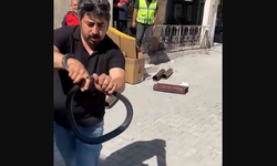Hatay'da yürekleri ağza getiren anlar... Eve giren yılanı böyle yakaladı!