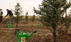 Bursa’da havai fişekle yangın çıkartanlara ders gibi ceza!