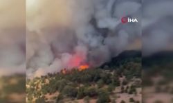 Konya’da orman yangını! Havadan ve karadan müdahale sürüyor