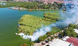 Mogan Gölü'nde müsilaj ve haşere tehdidine karşı yoğun temizlik mesaisi başladı