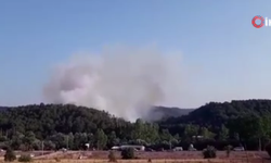 Bolu Mudurnu'da orman yangını!