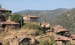 Türkiye'de en fazla köye sahip il belli oldu! Sivas zirveyi kaptırmıyor