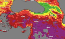 Yangın risk bölgeleri: Türkiye'de hangi şehirler tehlike altında?