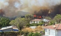Çanakkale Gelibolu’da orman yangınına havadan ve karadan müdahale