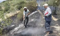 Aydın'da 30 dönüm arazi yangının sebebi gelin-kayınpeder kavgasıymış!
